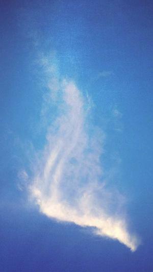 黑料不打烊 吃瓜网截图1